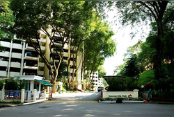 Sommerville Park (D10), Condominium #569247411